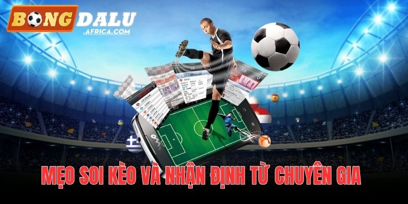 Mẹo soi kèo và nhận định từ chuyên gia Bongdalu